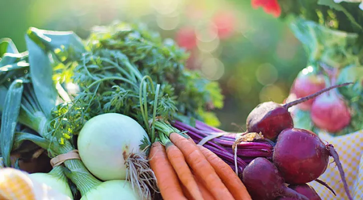 Erntedank (Foto: Jill-Wellington-Pixabay) Erntedank (Foto: Jill-Wellington-Pixabay)
