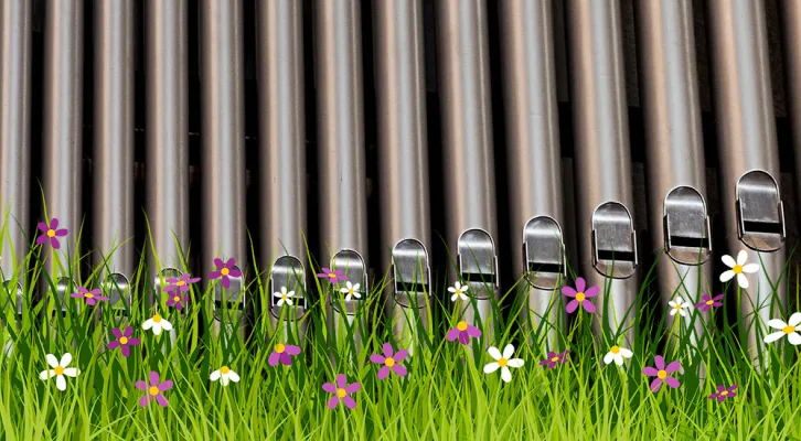 OrgelPlusFruehling (Foto: Pixabay) OrgelPlusFruehling (Foto: Pixabay)